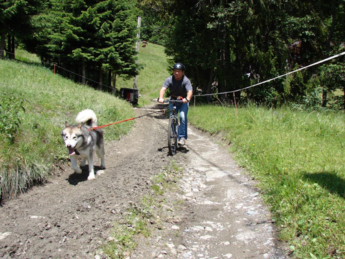 Chalet L'Attrape Coeur Megève Zewnętrze zdjęcie